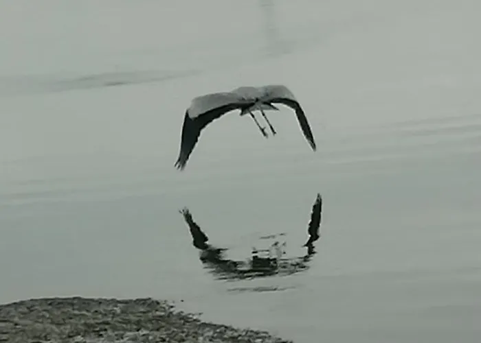 70's Tiny Boat Bådhotel *