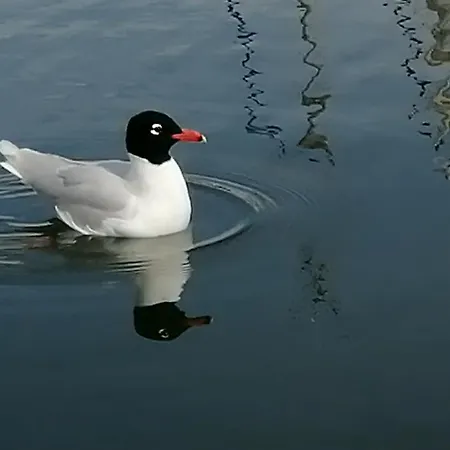 70's Tiny Boat Hotel na wodzie *