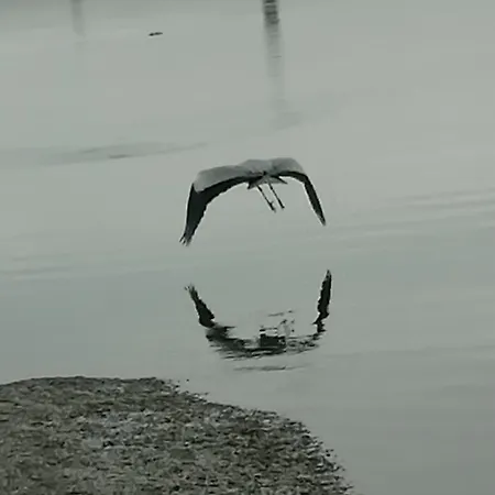 70's Tiny Boat Hotel na wodzie *